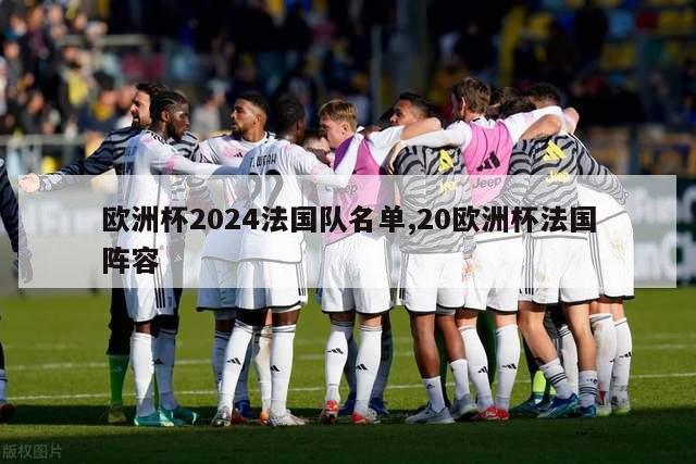 欧洲杯2024法国队名单,20欧洲杯法国阵容