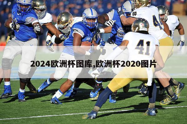 2024欧洲杯图库,欧洲杯2020图片