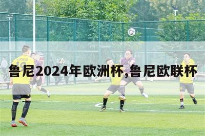 鲁尼2024年欧洲杯,鲁尼欧联杯