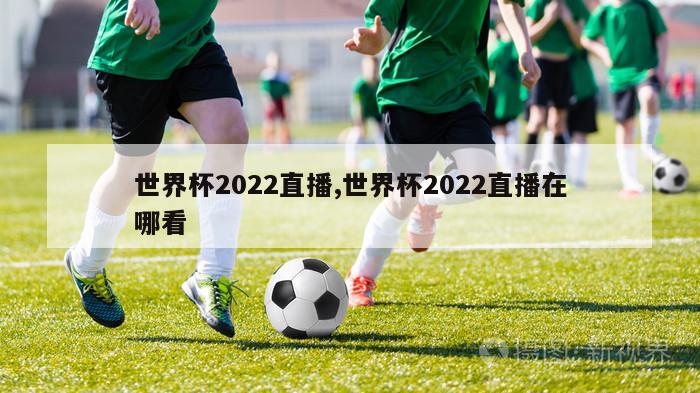 世界杯2022直播,世界杯2022直播在哪看