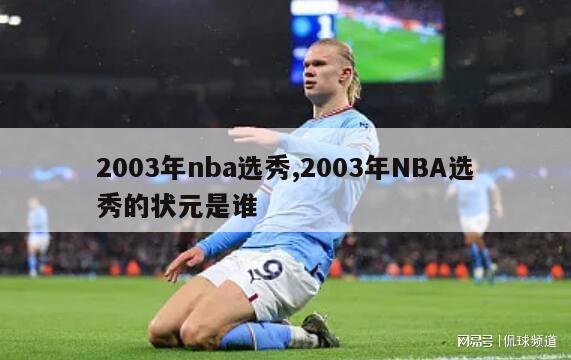 2003年nba选秀,2003年NBA选秀的状元是谁