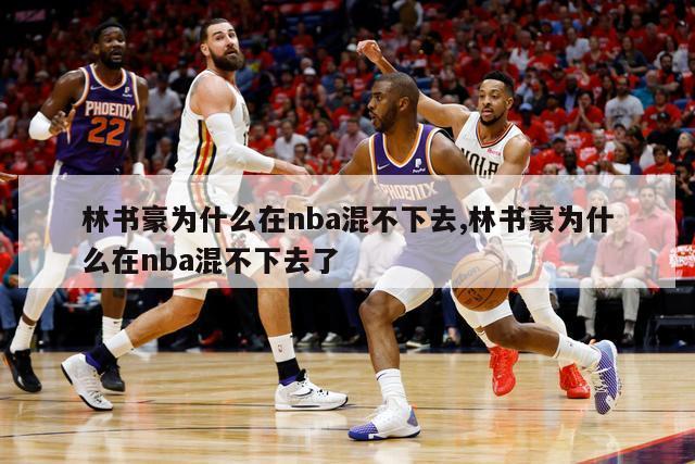 林书豪为什么在nba混不下去,林书豪为什么在nba混不下去了