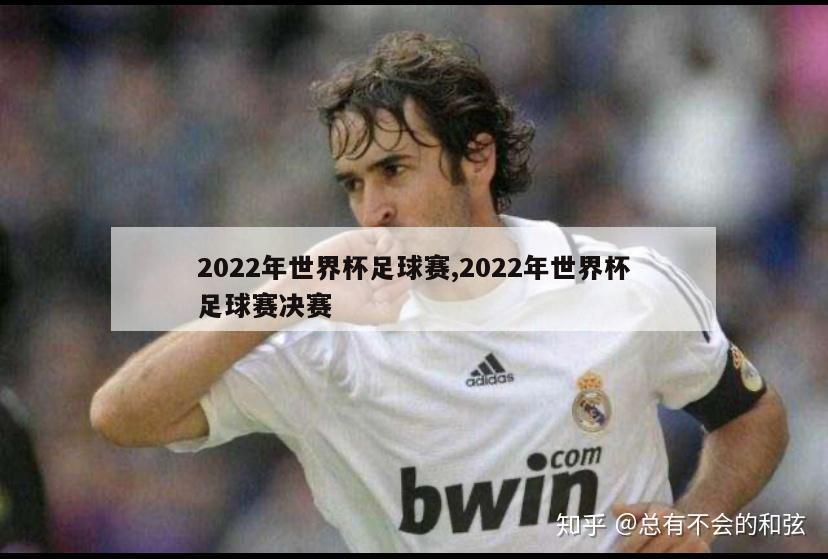 2022年世界杯足球赛,2022年世界杯足球赛决赛