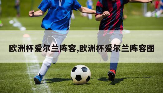 欧洲杯爱尔兰阵容,欧洲杯爱尔兰阵容图