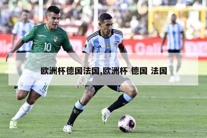 欧洲杯德国法国,欧洲杯 德国 法国