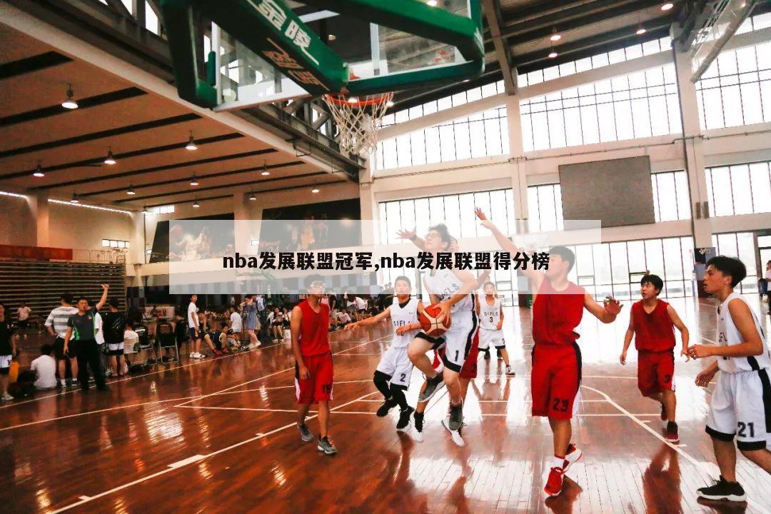 nba发展联盟冠军,nba发展联盟得分榜